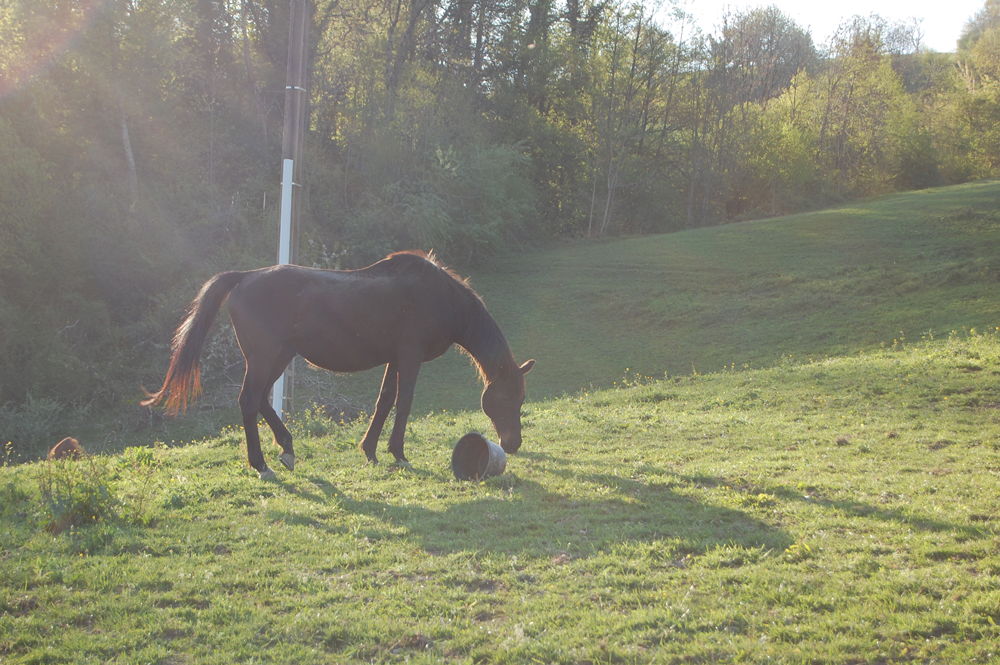 La Grange du paris - Détail 2