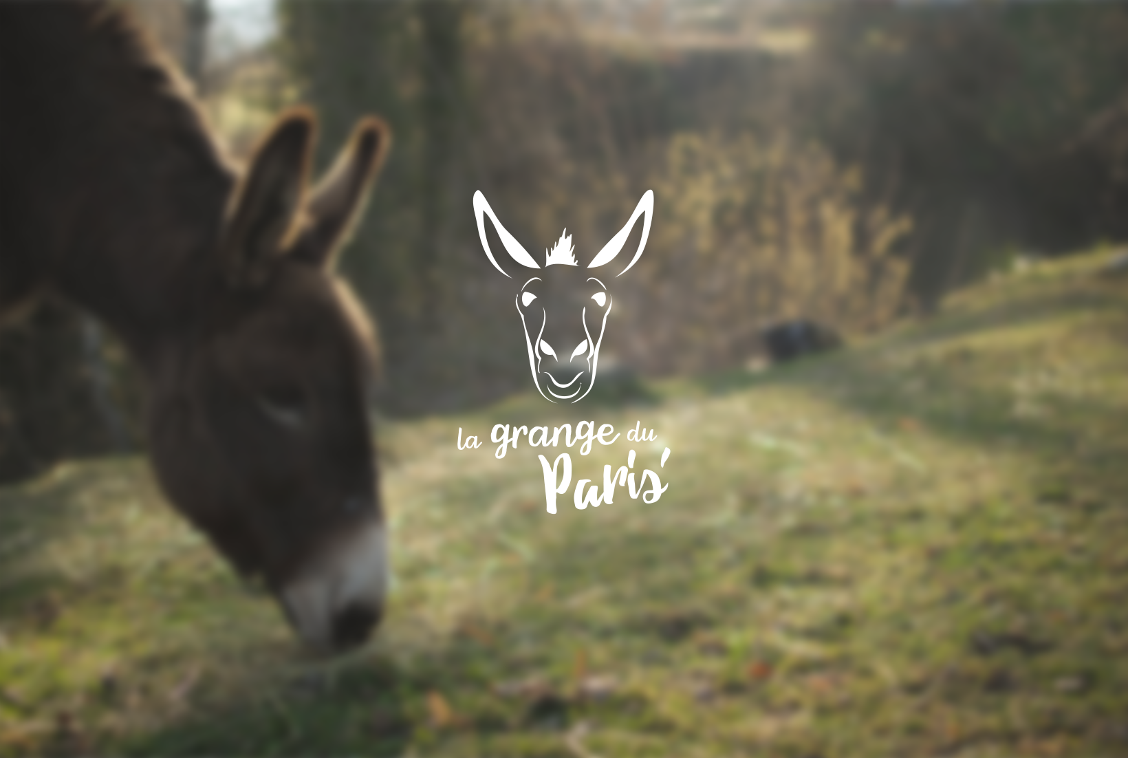 La Grange du paris - Détail 5